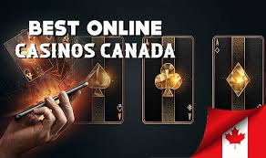 Best Online Live Casino in Canada Experience the Thrill of Real-Time Gaming