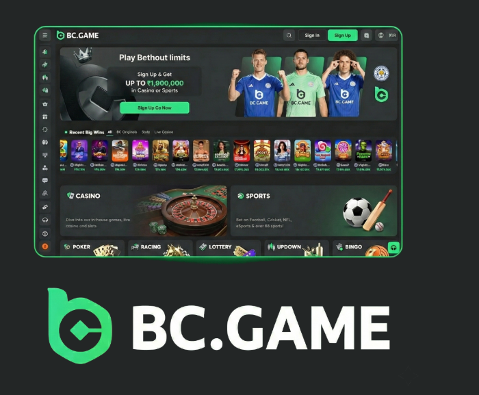 Experience Thrilling Gaming at BC.Game Casino and Sportsbook