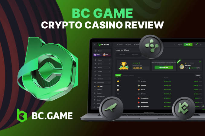 Unlocking Excitement BC.Game Bonuses and Promo Codes Explained